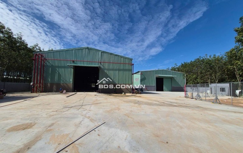 Cho thuê xưởng DT 2000m2 ở phường An Dương, sẵn PCCC vách tường, trạm điện lớn